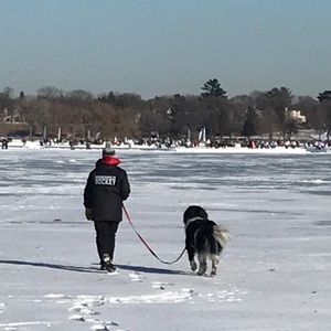 Meet your Posher, Celia